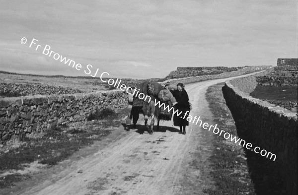 WOMAN WITH DONKEY ON ROAD